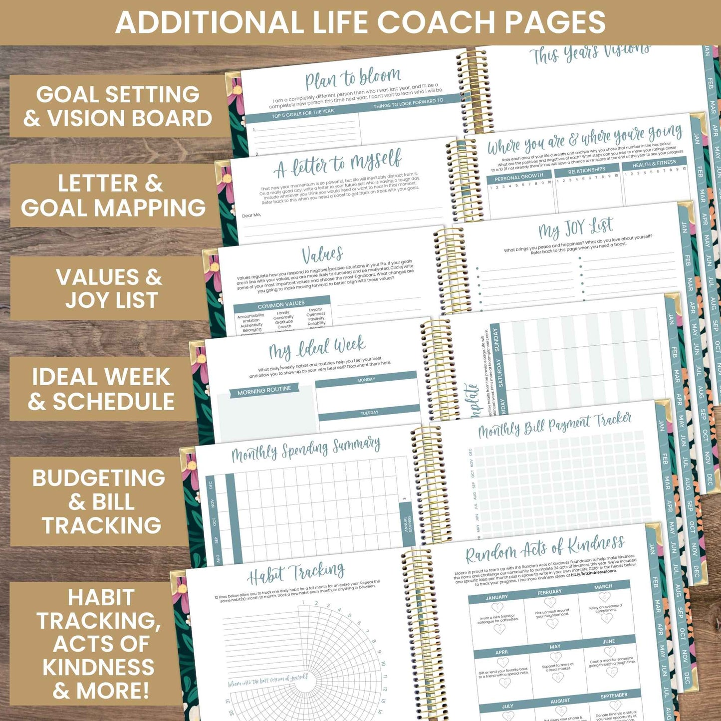2025 Calendar Year Vision Planners 7.5" x 9" - Choose Design