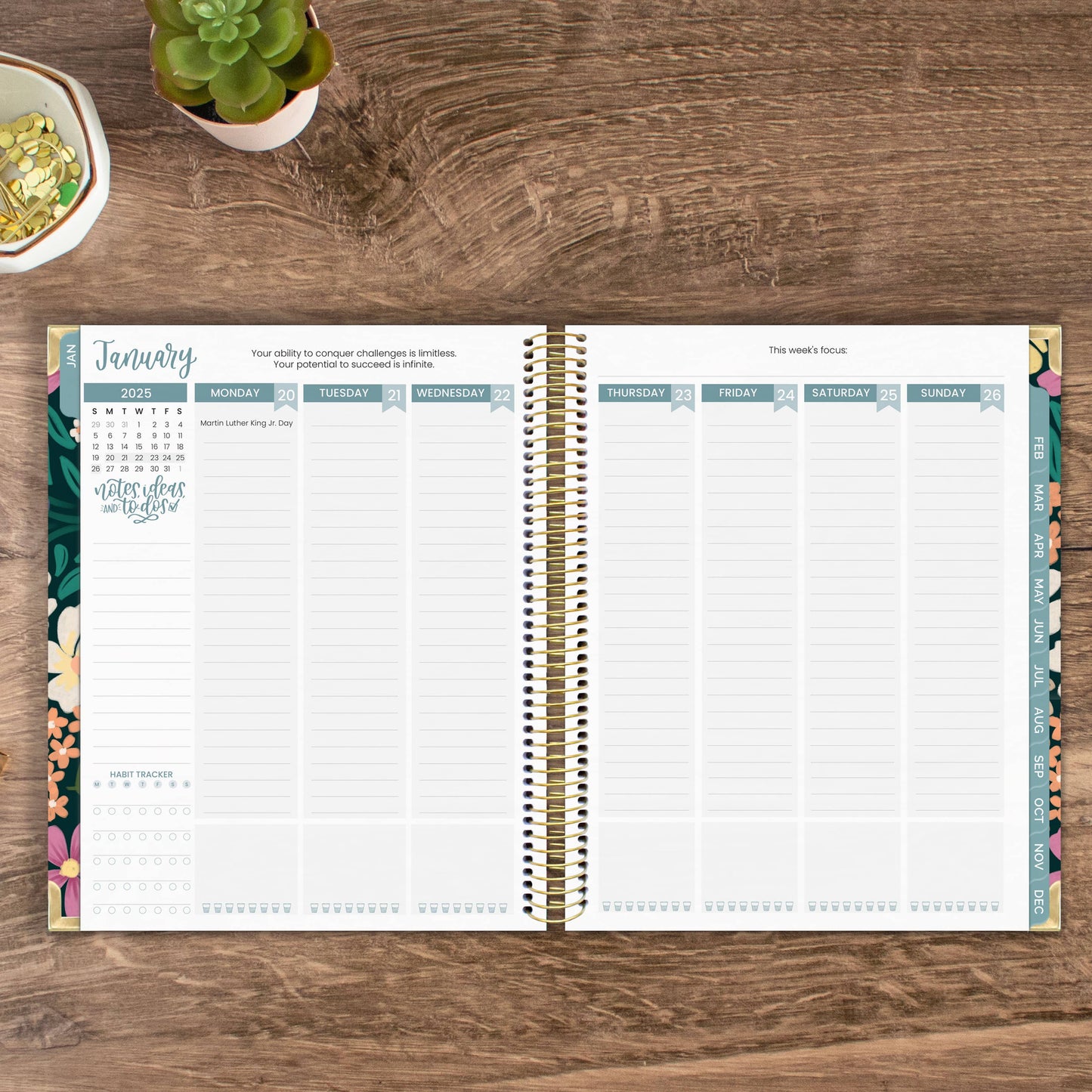 2025 Calendar Year Vision Planners 7.5" x 9" - Choose Design