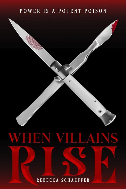 When Villains Rise: 3 cover image