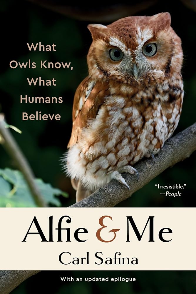 Alfie and Me: What Owls Know, What Humans Believe cover image