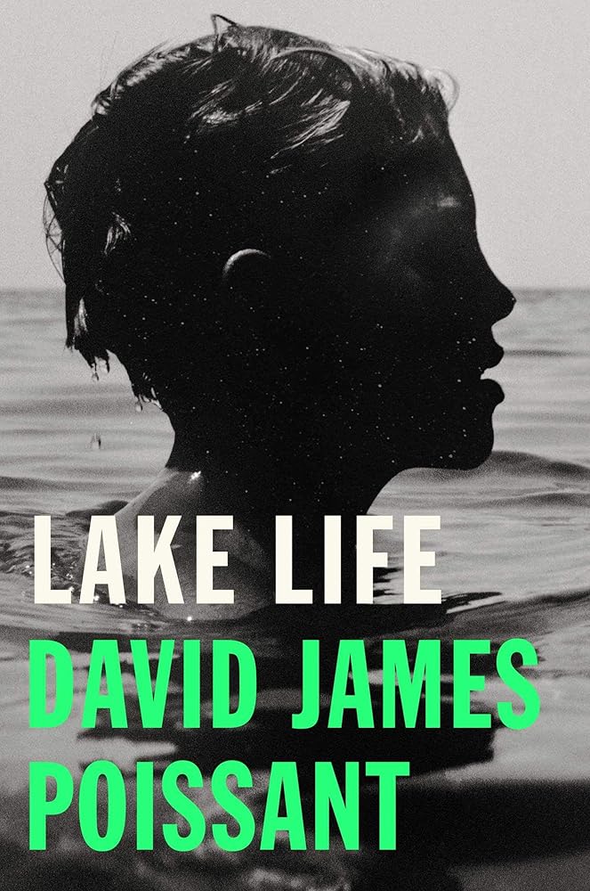 Lake Life: A Novel cover image