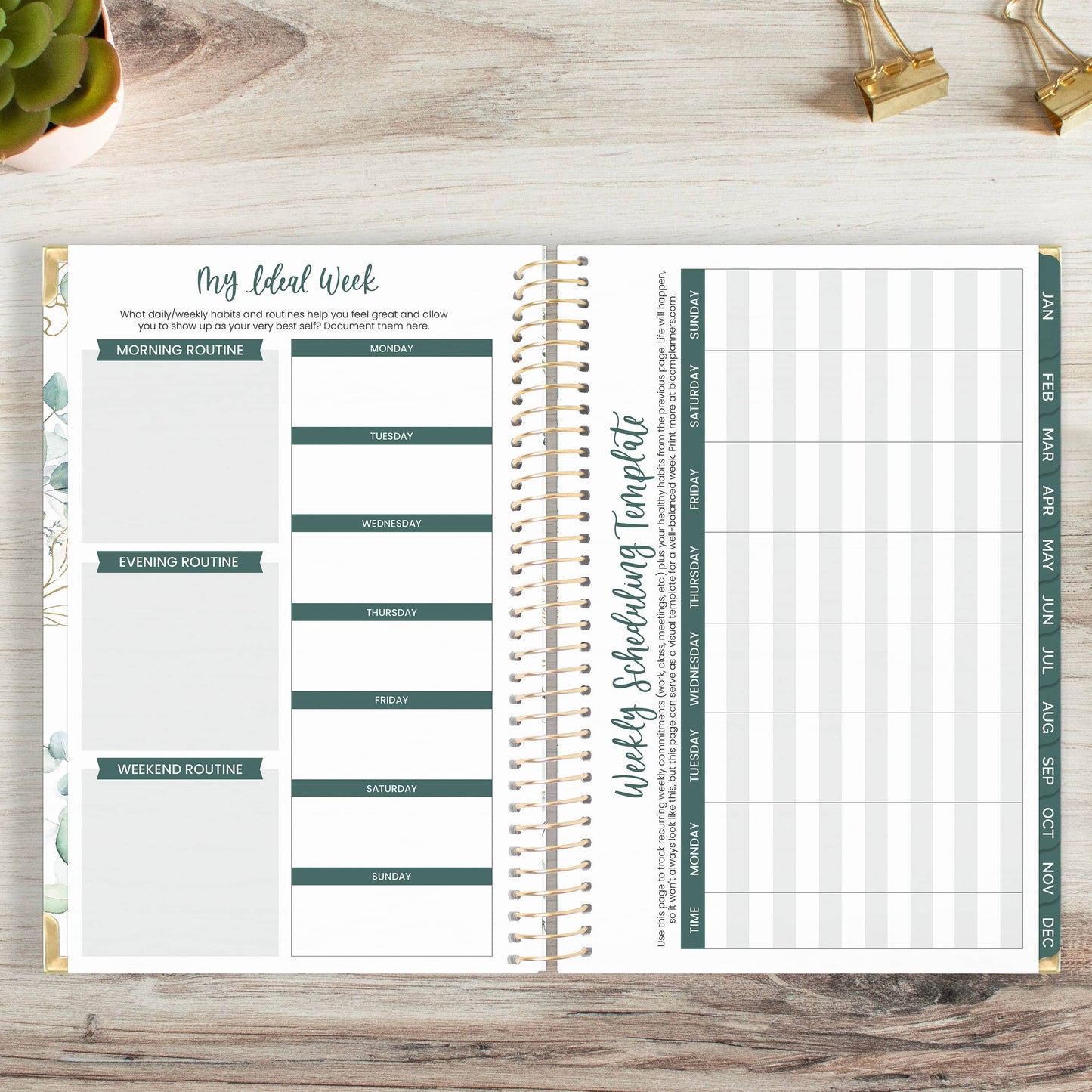 2025 Calendar Year 5x8 Hard Cover Planners - Choose Design