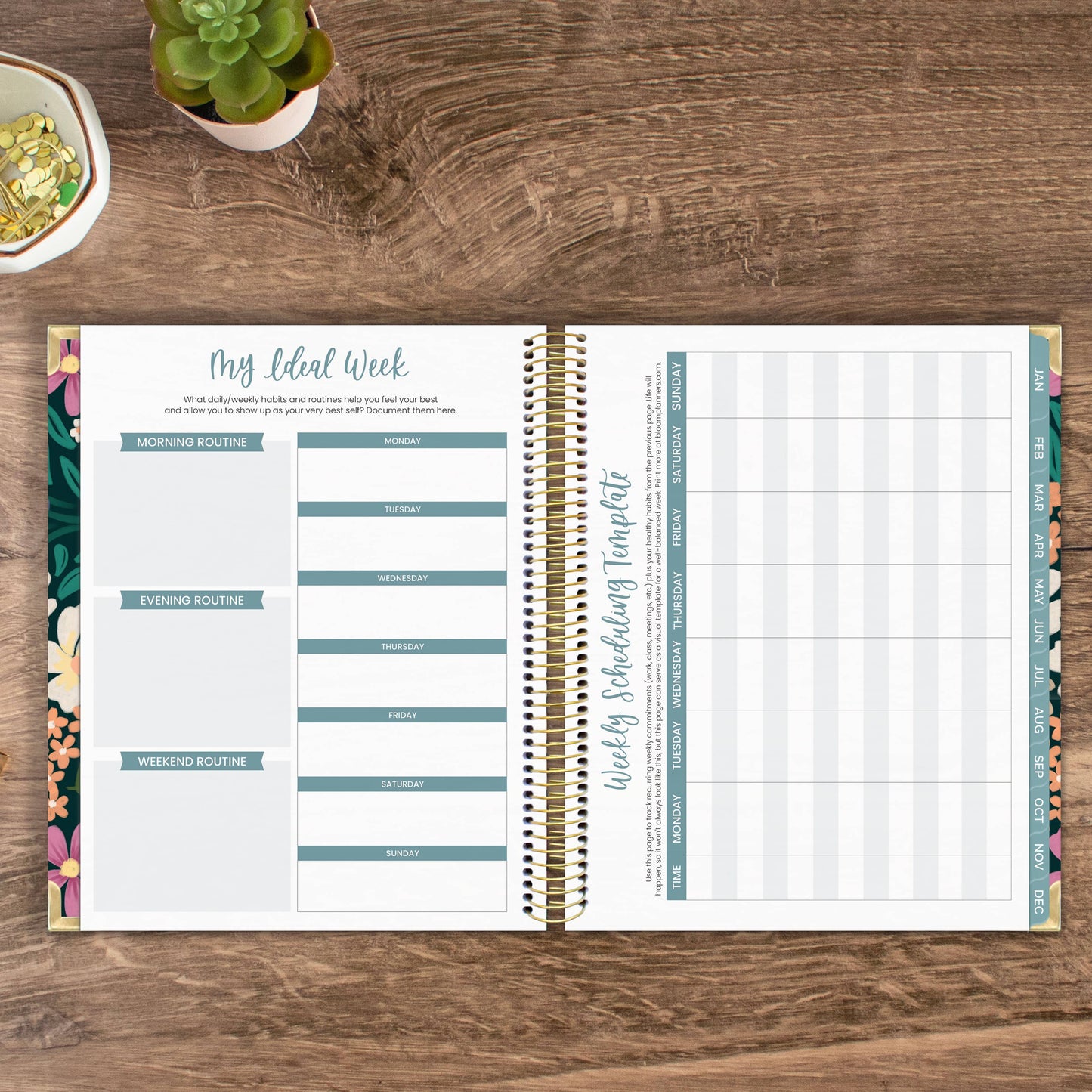 2025 Calendar Year Vision Planners 7.5" x 9" - Choose Design