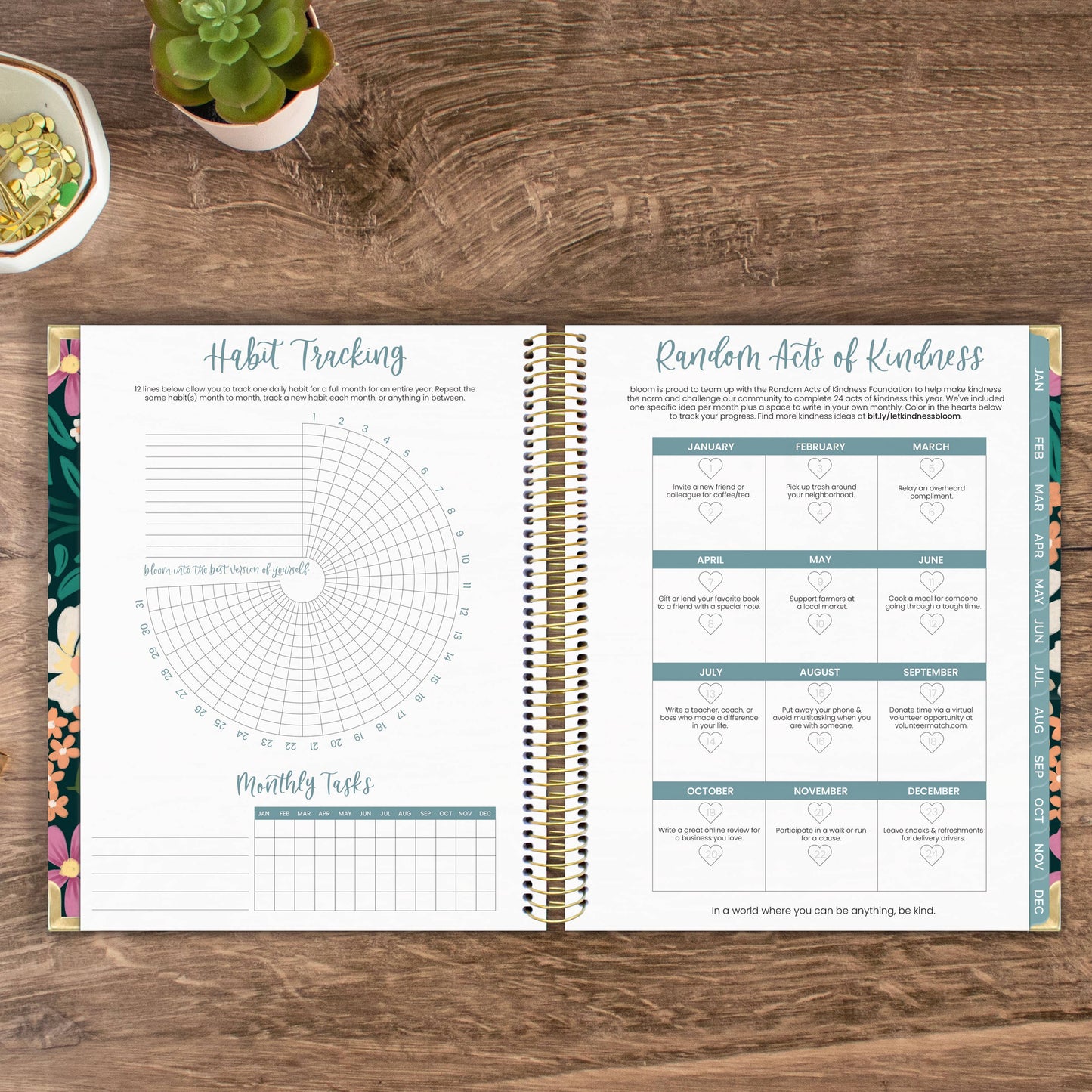 2025 Calendar Year Vision Planners 7.5" x 9" - Choose Design