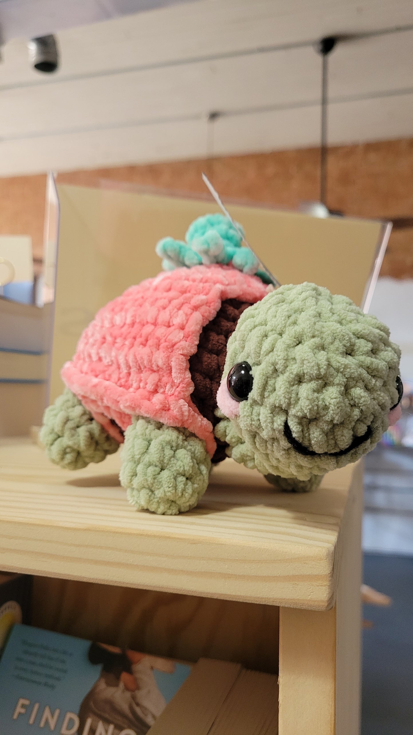 Dress Up Turtle