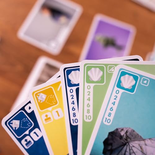 Pandasaurus Sea Salt and Paper | Ocean-Themed Strategy Game Pack of 1