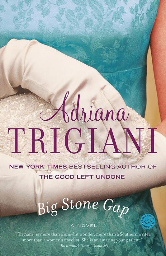 Big Stone Gap: A Novel cover image