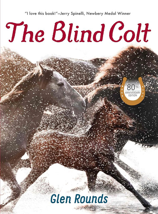 The Blind Colt cover image