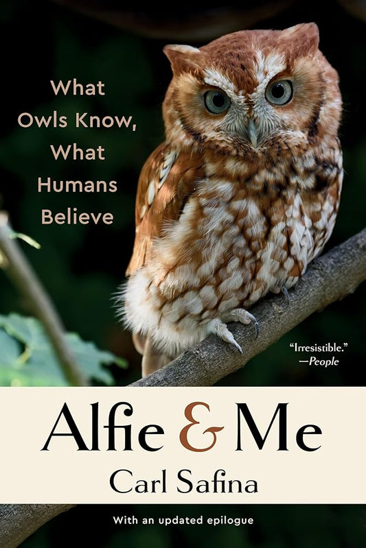 Alfie and Me: What Owls Know, What Humans Believe cover image