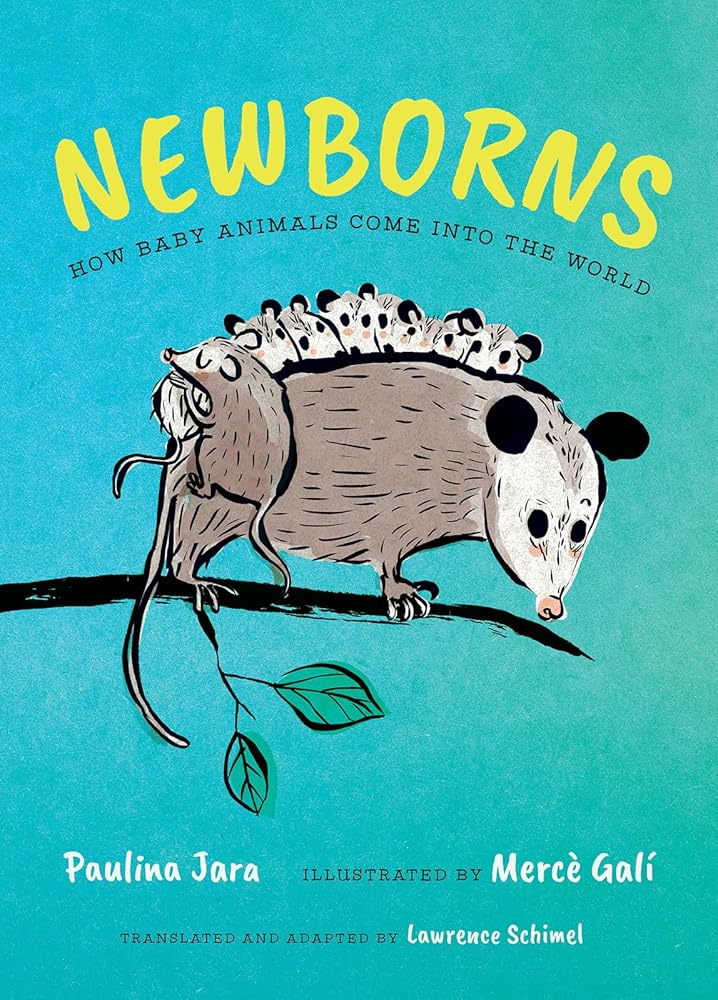 Newborns: How Baby Animals Come Into the World cover image