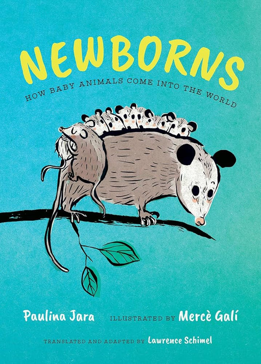 Newborns: How Baby Animals Come Into the World cover image