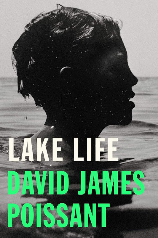 Lake Life: A Novel cover image