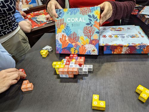 Coral Board Game by Tangi Tabuteau