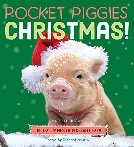 Pocket Piggies Christmas!