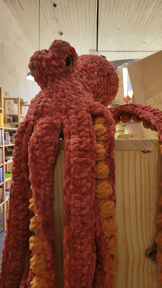 Anchor the Octopus
